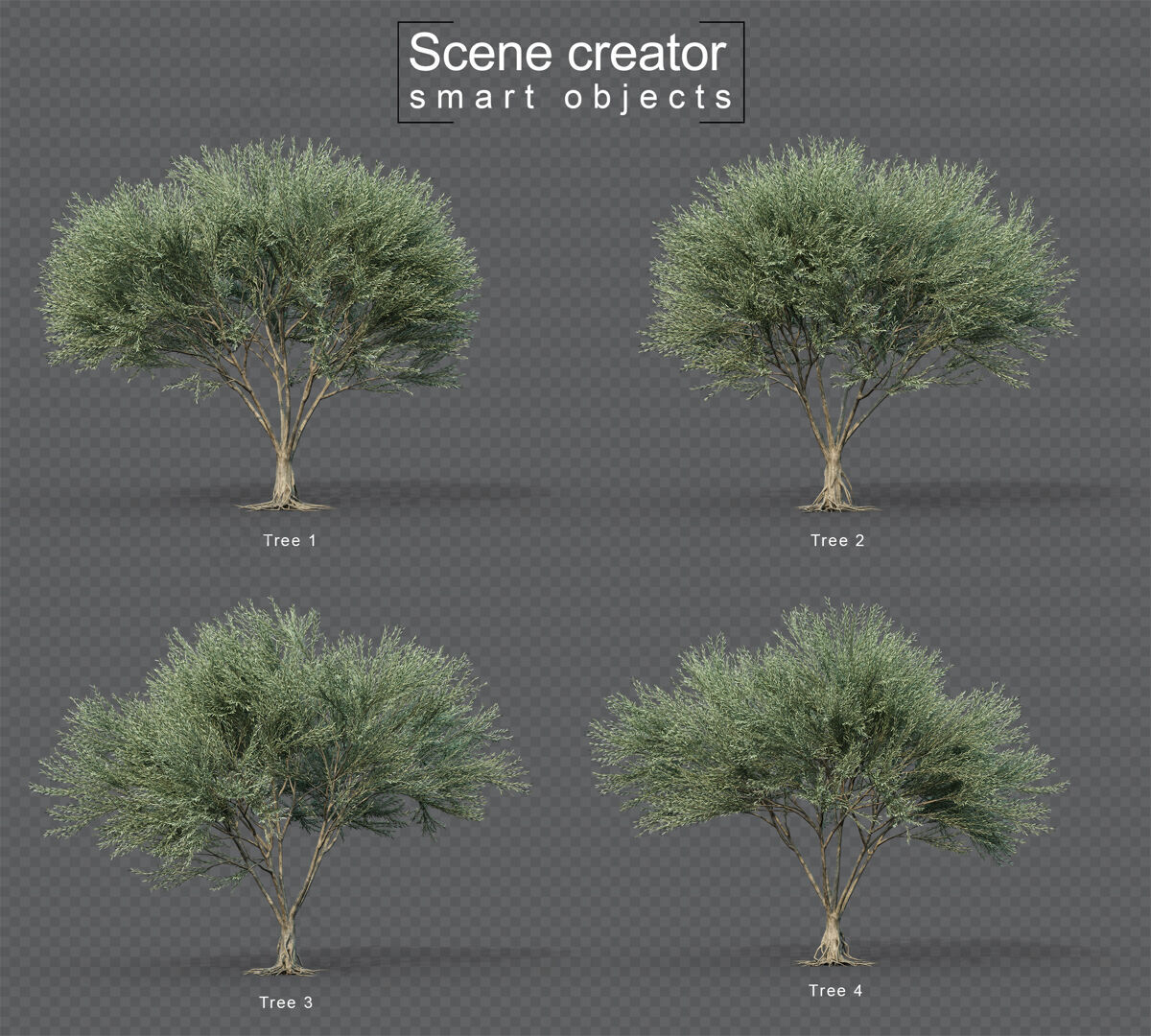 三维渲染无果橄榄树集的3d渲染树植物场景创造者
