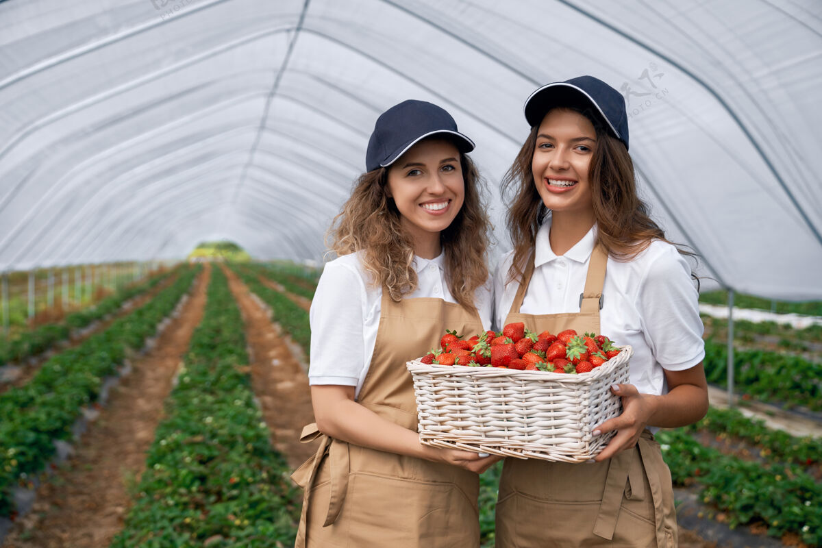 生长两个女人拿着一篮草莓栽培园艺自然