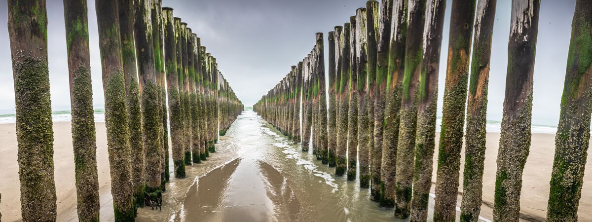 码头北海 新西兰 荷兰的木制破浪装置海洋湖全景