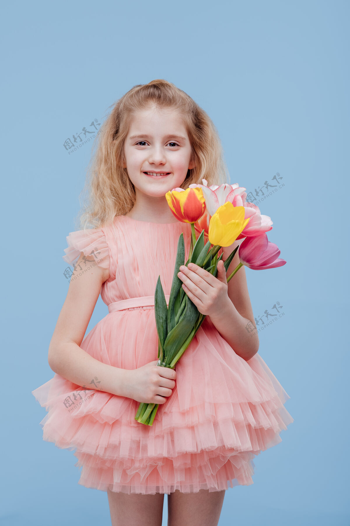 郁金香郁金香手里拿着春花的小女孩 穿着粉红色的衣服 孤零零地站在蓝色的墙上肖像看快乐