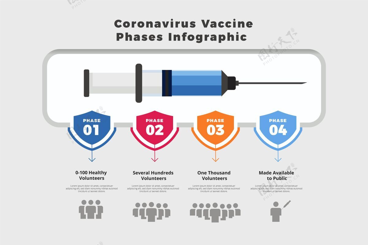 疫苗扁平冠状病毒疫苗阶段信息图模板图形冠状病毒平面设计