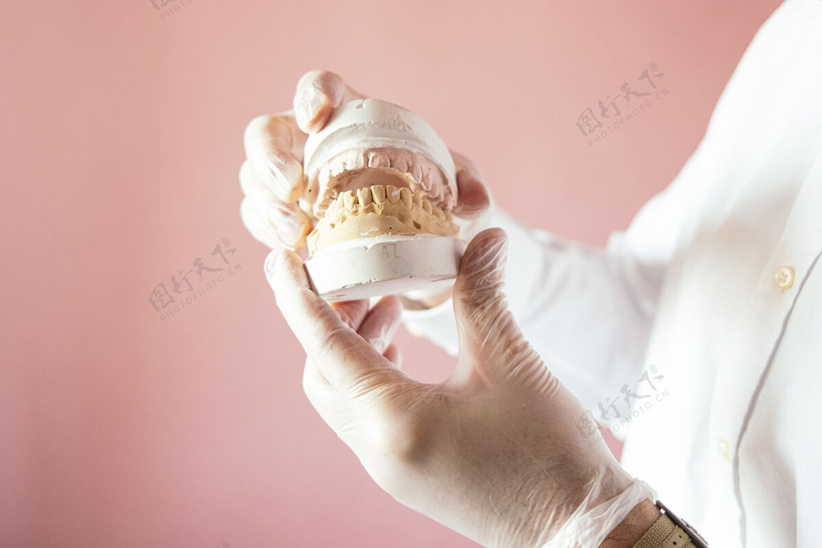 勤勉医生的手在粉色背景上展示复合义齿西班牙医学牙齿