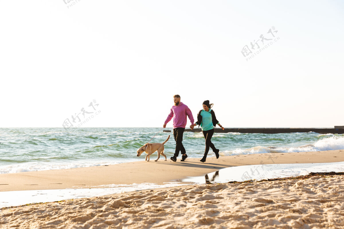海滩可爱的年轻夫妇和他们的狗在海滩散步夹克宠物友谊
