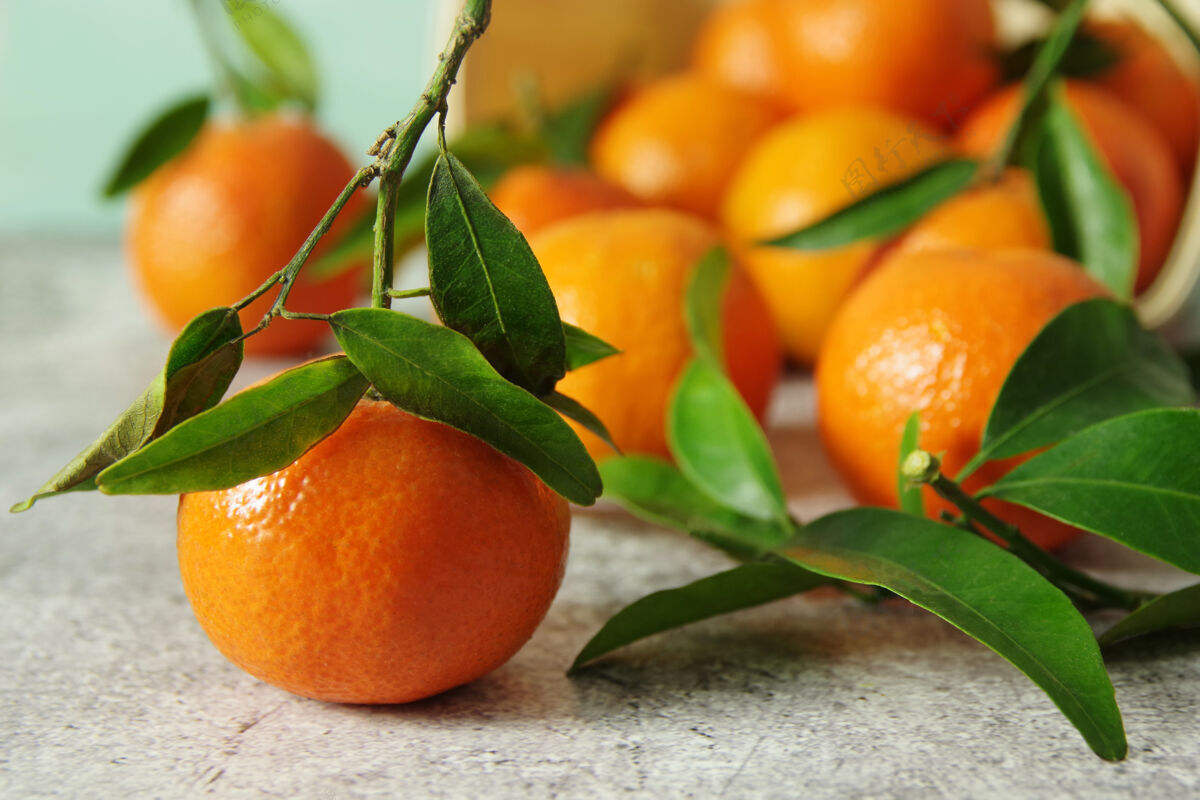 热带清香成熟的柑桔桌上有绿叶的多汁橘子自然水果许多