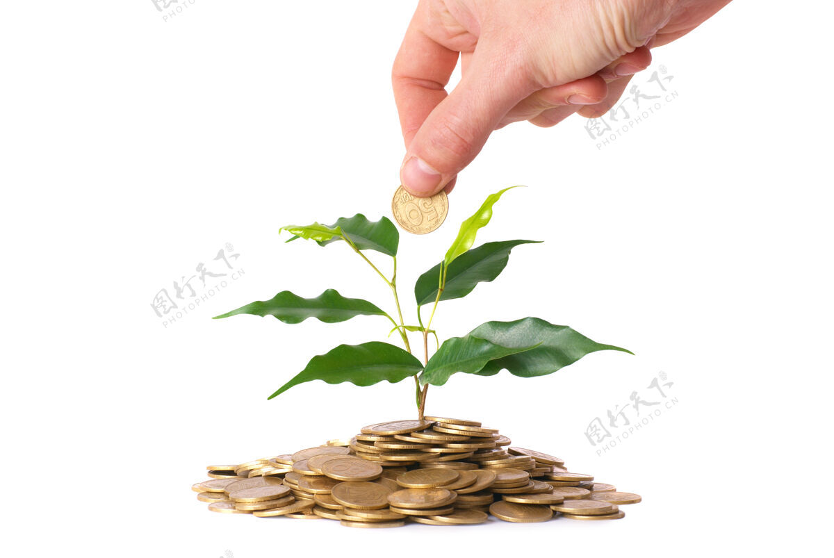 硬币手和绿色植物生长在硬币钱财务概念储蓄货币生长