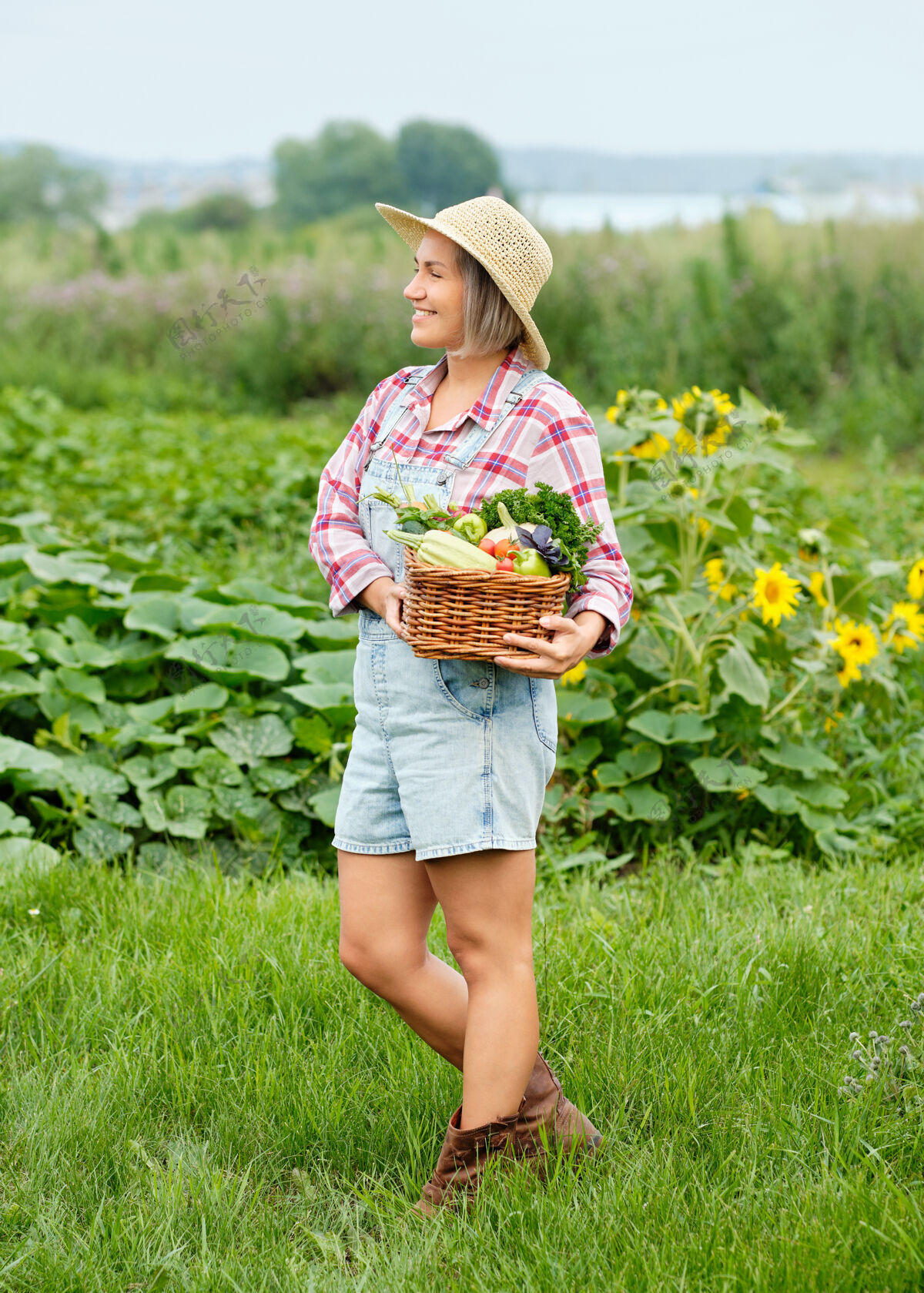 秋天女人手里拿着一篮子丰收的有机蔬菜和根上的有机生物农场.秋天蔬菜收获杂货多蔬菜
