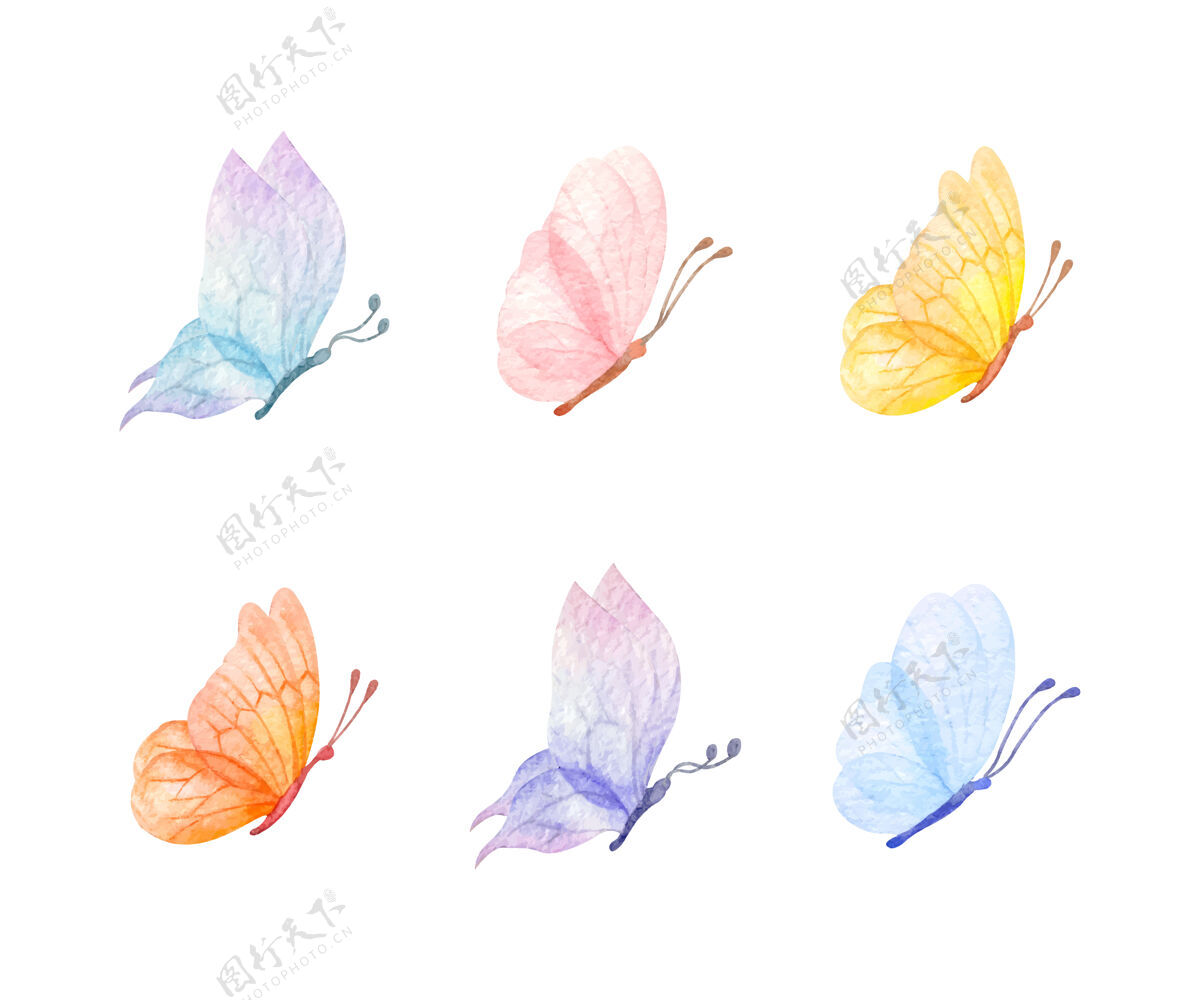 春天为特殊场合准备的一组蝴蝶水彩画浪漫装饰