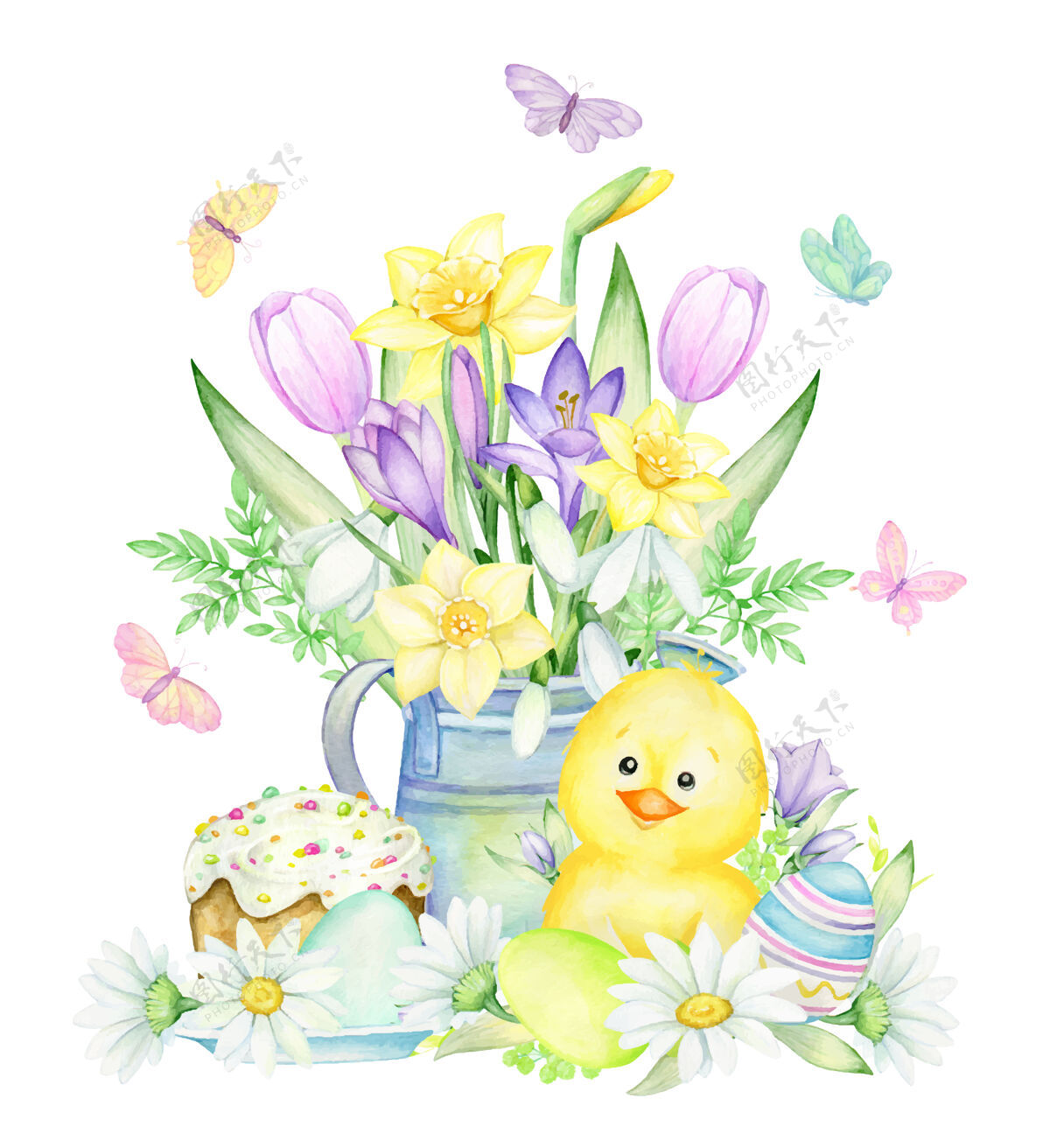 小鸡鸡肉 复活节彩蛋 蛋糕 鲜花 浇水水彩画概念可爱传统卡通