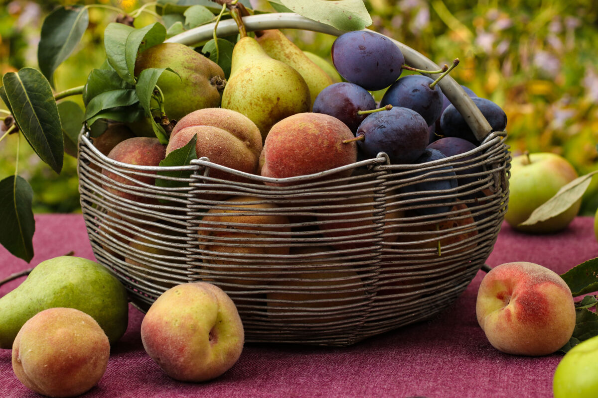 季节一篮子秋天的水果：苹果 梨 李子和桃子放在花园的桌子上 一些水果放在桌子上 水平方向 特写素食有机生的