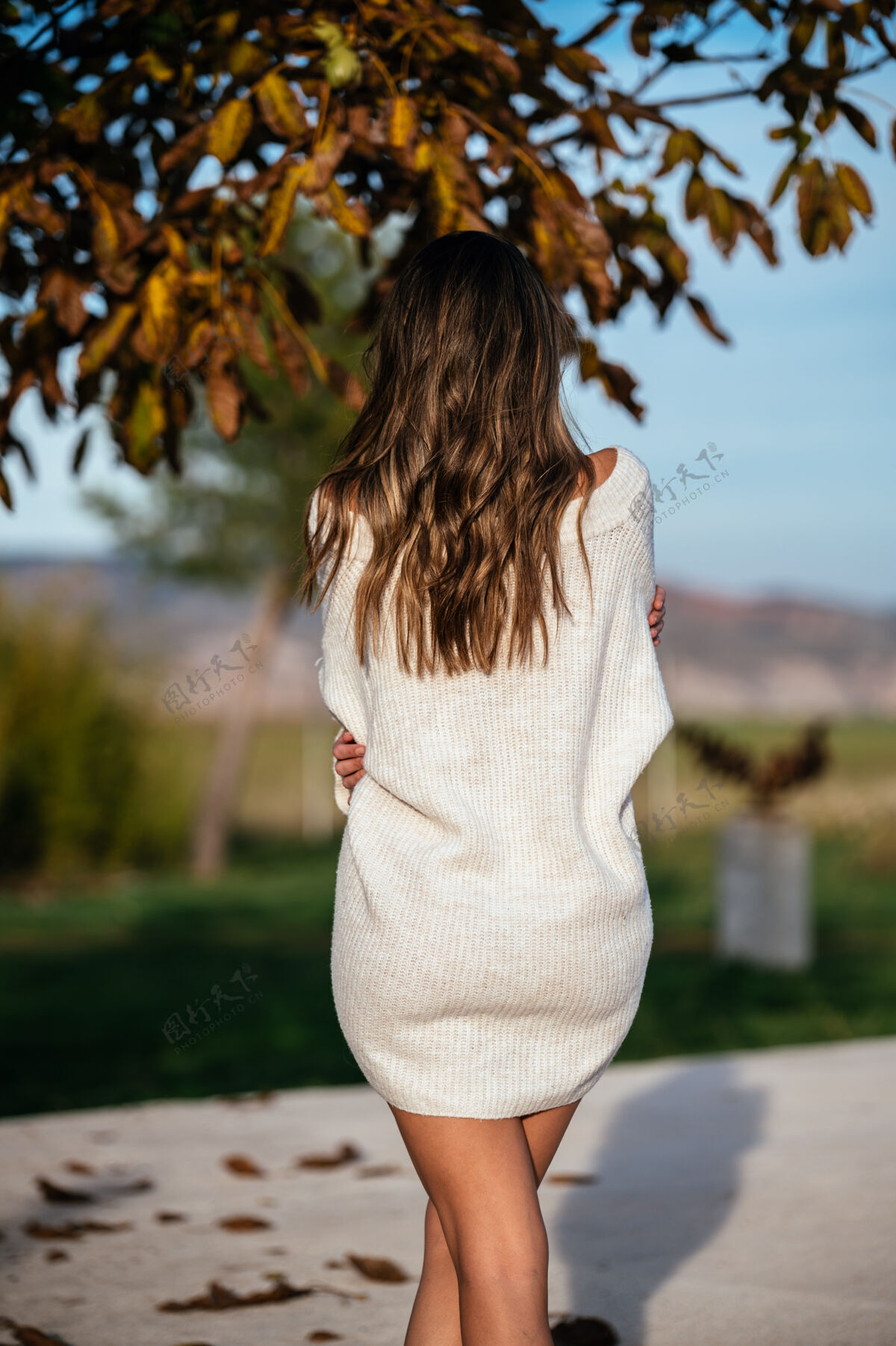 柔软秋日院子里 一位穿着白毛衣的匿名女性站在枯叶的树枝旁毛衣服装休闲