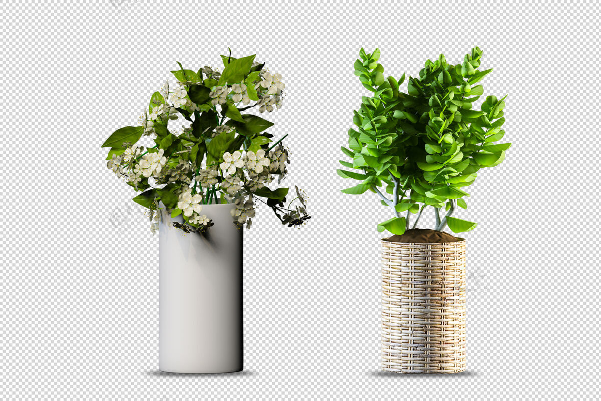 装饰花瓶里的花在3d渲染中孤立了3d室内叶子