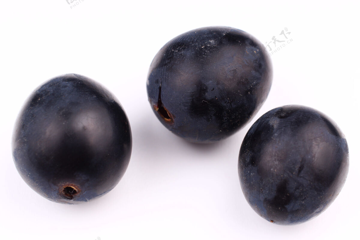 浆果一种白色表面的摩尔多瓦黑葡萄新鲜甜点收获