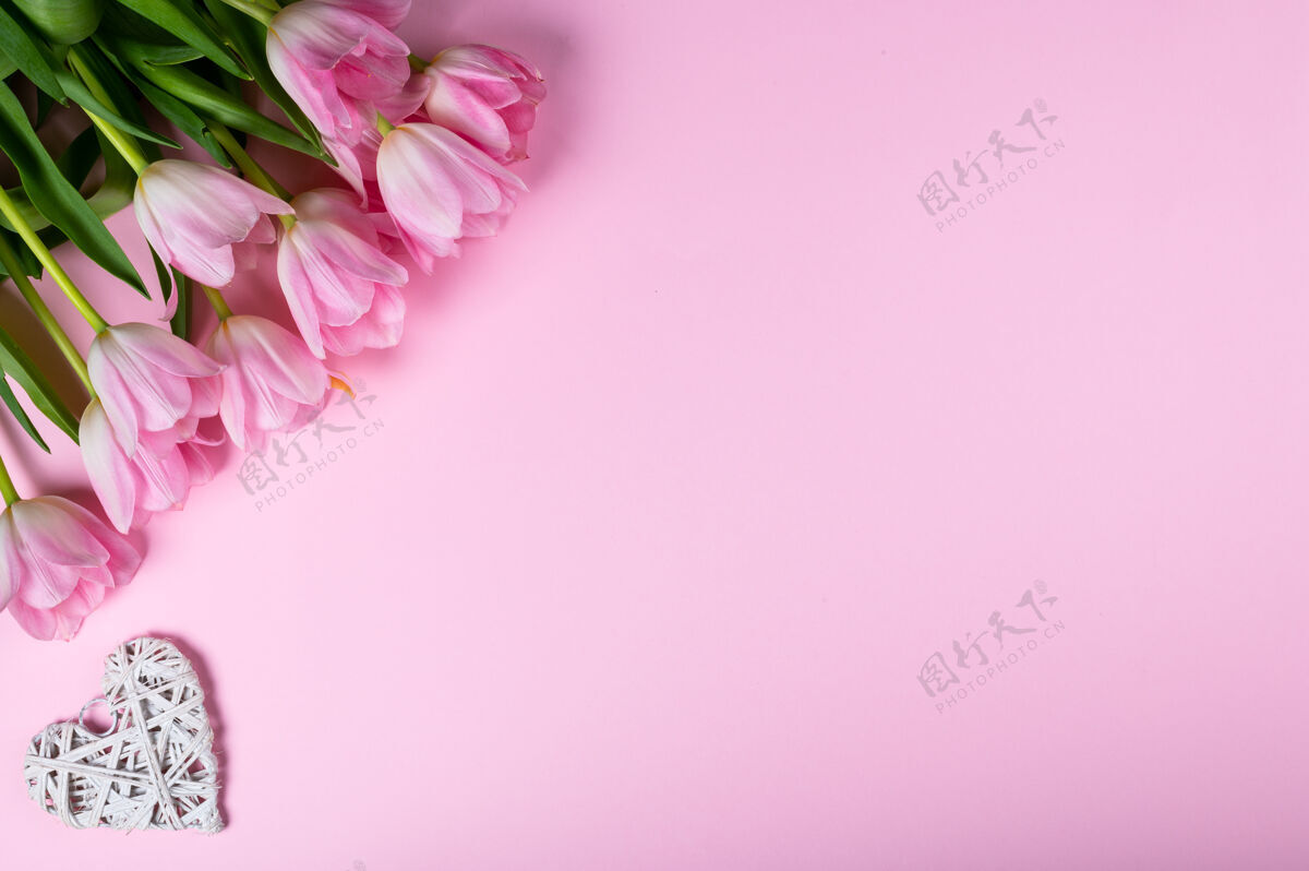 复制空间粉红色背景上有一束郁金香和红心顶视图 平铺风格浪漫花粉红色