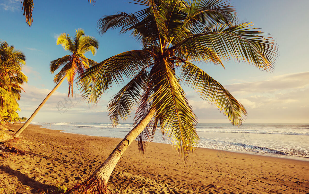 丛林哥斯达黎加美丽的热带太平洋海岸中美洲阳光明媚全景