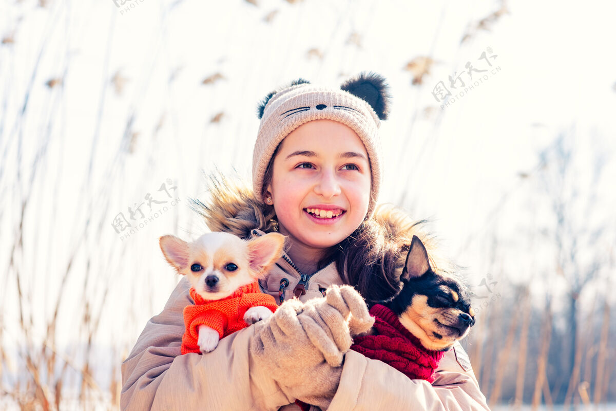 狗少女抱着她的两只小狗吉娃娃狗和成年狗dog.chihuahua小狗年轻朋友未成年