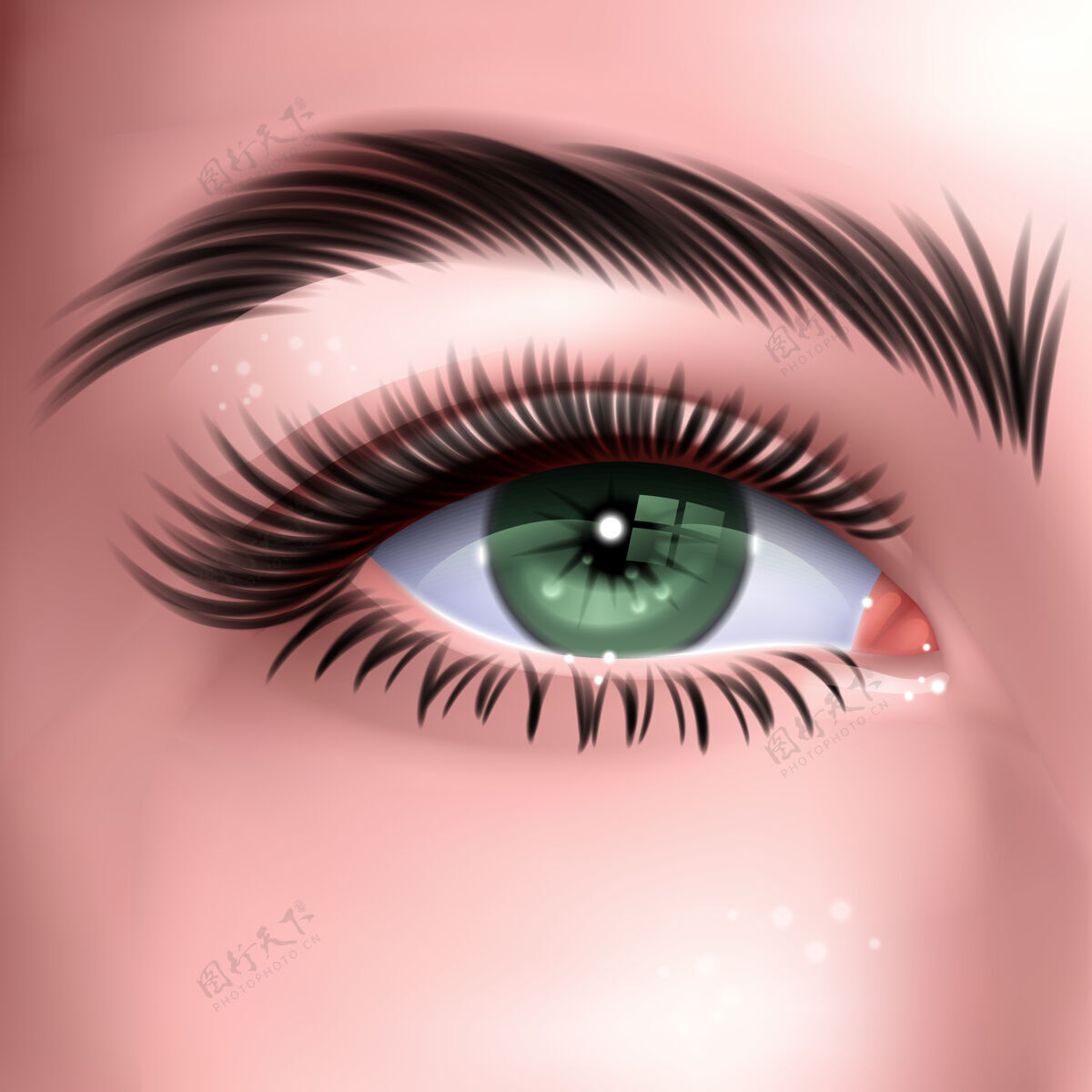 眼睛美丽的绿色长睫毛女人的眼睛绿眼睛女人女孩