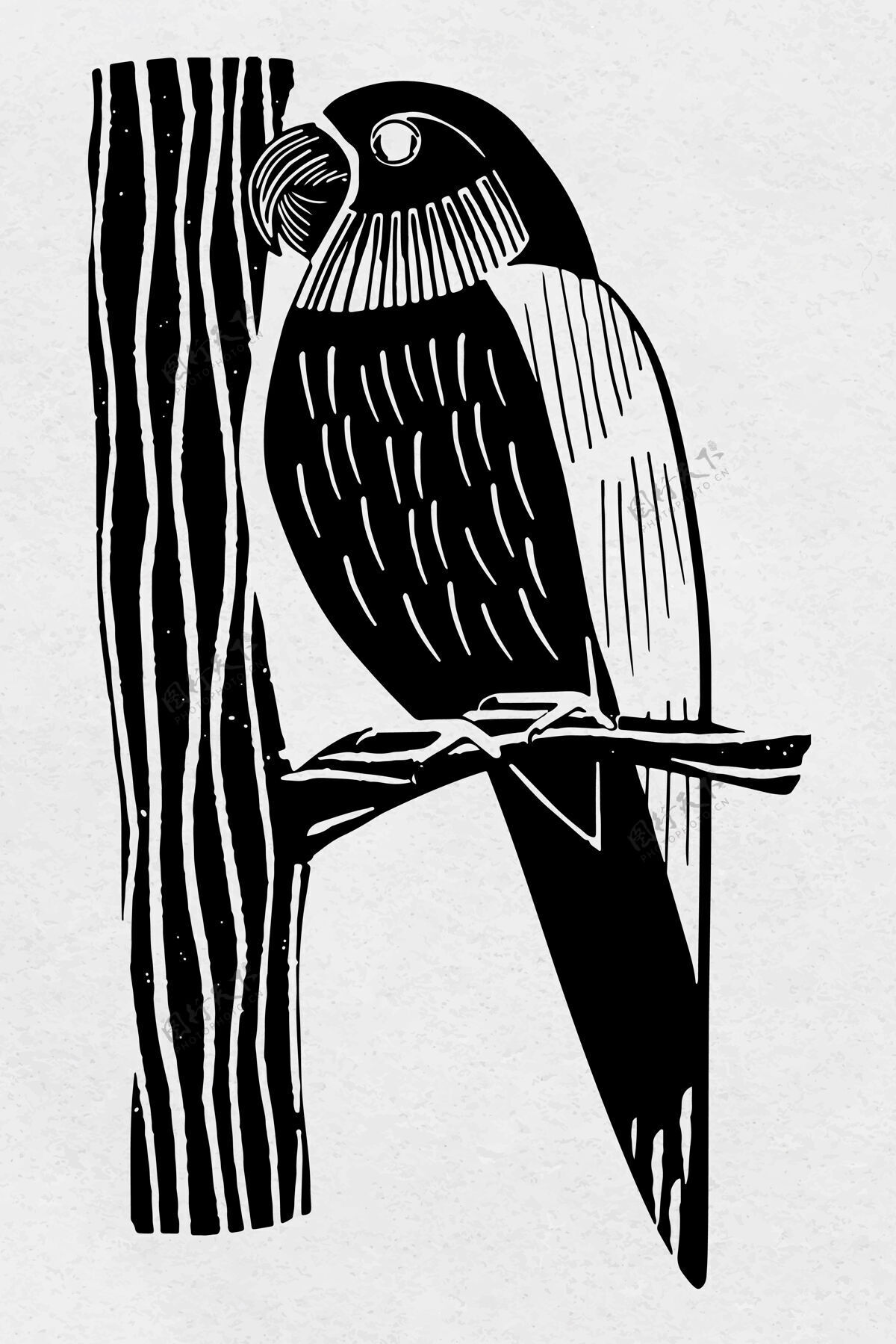 古董复古鹦鹉鸟手绘剪贴画自然动物园绘画