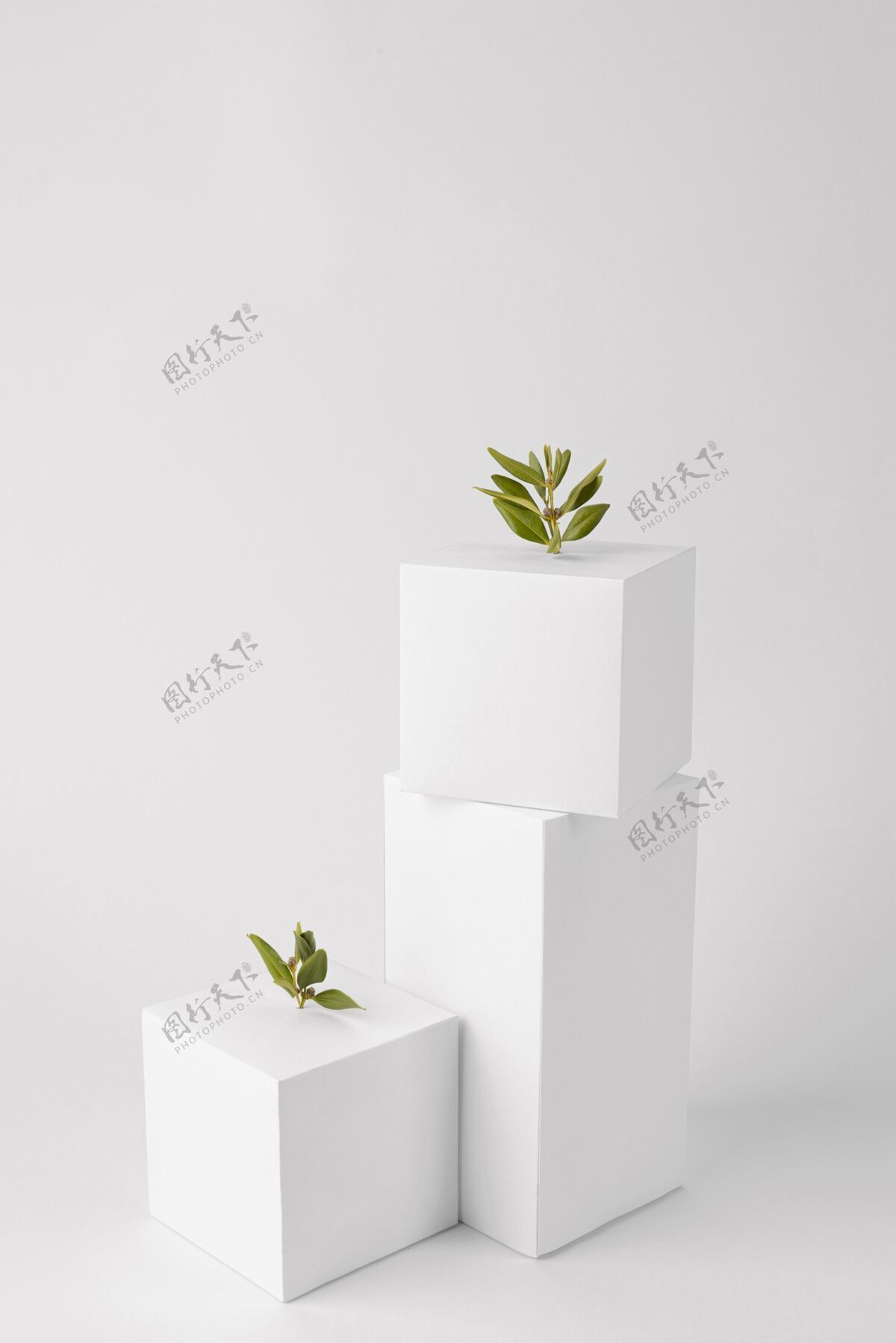 垂直几何形态和植物生长的可持续性概念高角度绿化空白