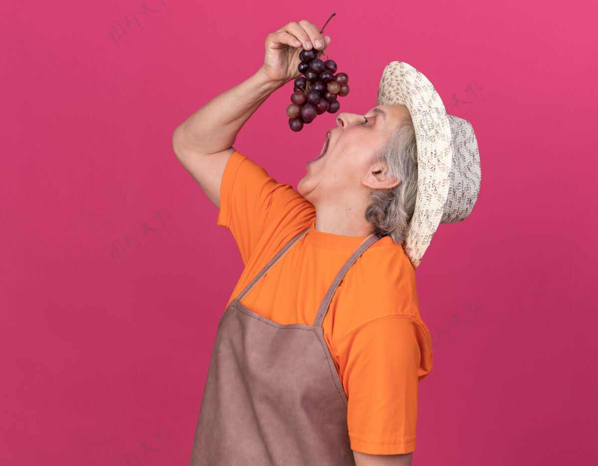 束着饥肠辘辘的上了年纪的女园丁戴着园艺帽 手里拿着一堆葡萄 假装在吃假装帽子老人