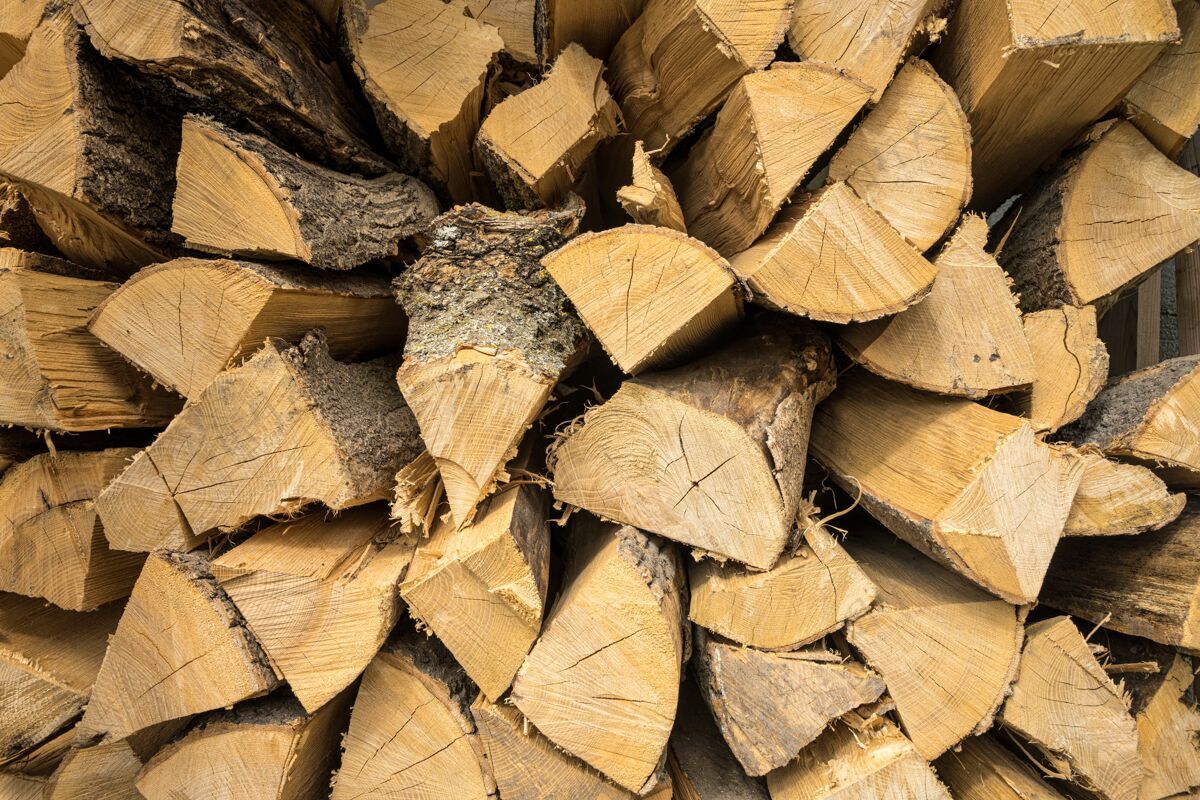 枫树橡树和山毛榉相互堆叠的火柴特写镜头覆盖树皮树干