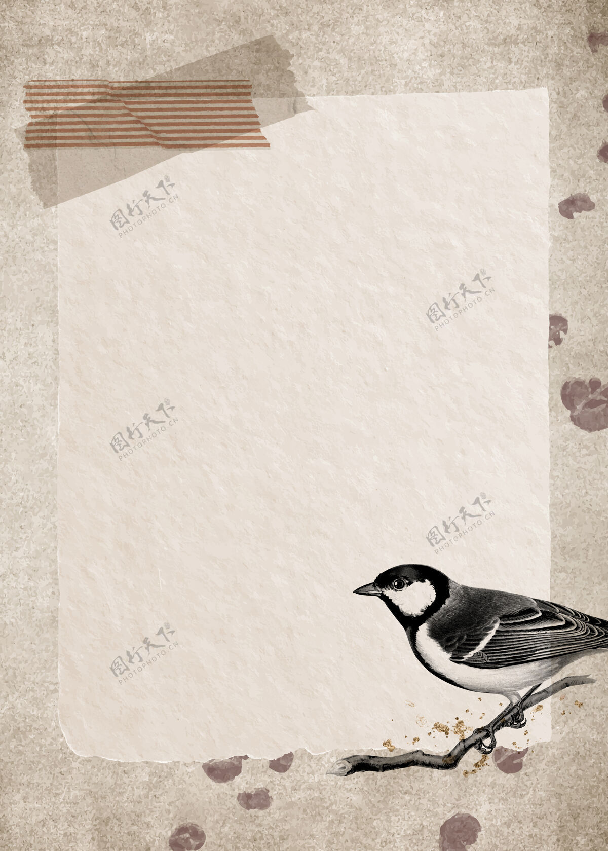 画塔尔戈克斯大山雀在一个肮脏的棕色背景旧动物野生动物