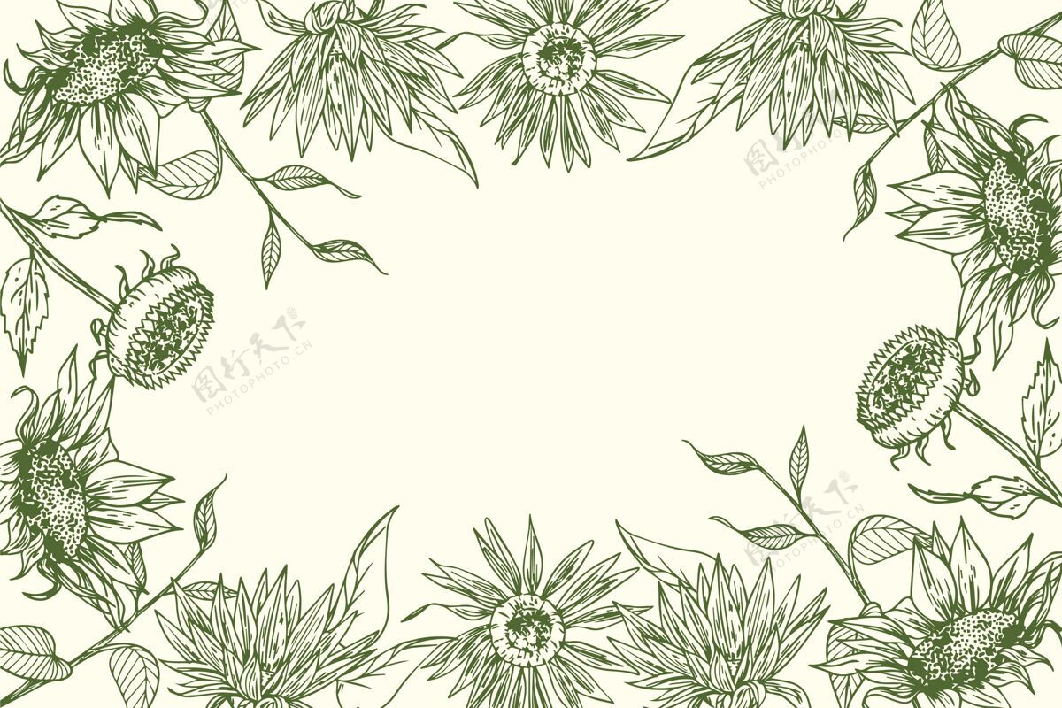 开花雕刻手绘向日葵边界复制空间花瓣自然花