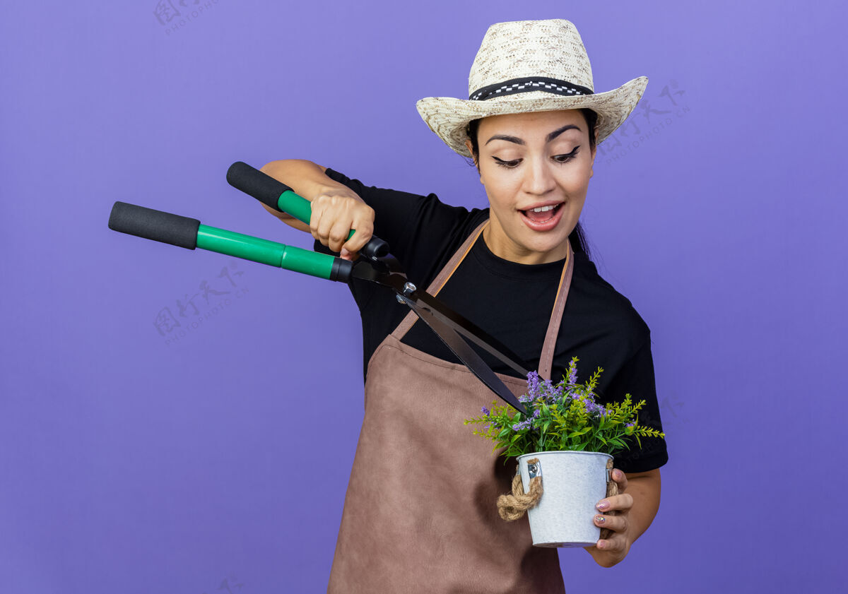 花盆年轻漂亮的女园丁 围着围裙 戴着帽子 手里拿着篱笆剪和盆栽植物 微笑着站在蓝色的墙上表情站着抱着