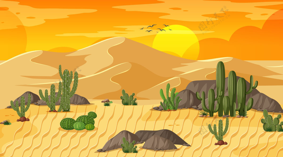 炎热沙漠森林景观与绿洲夕阳景色岩石橘子岩石