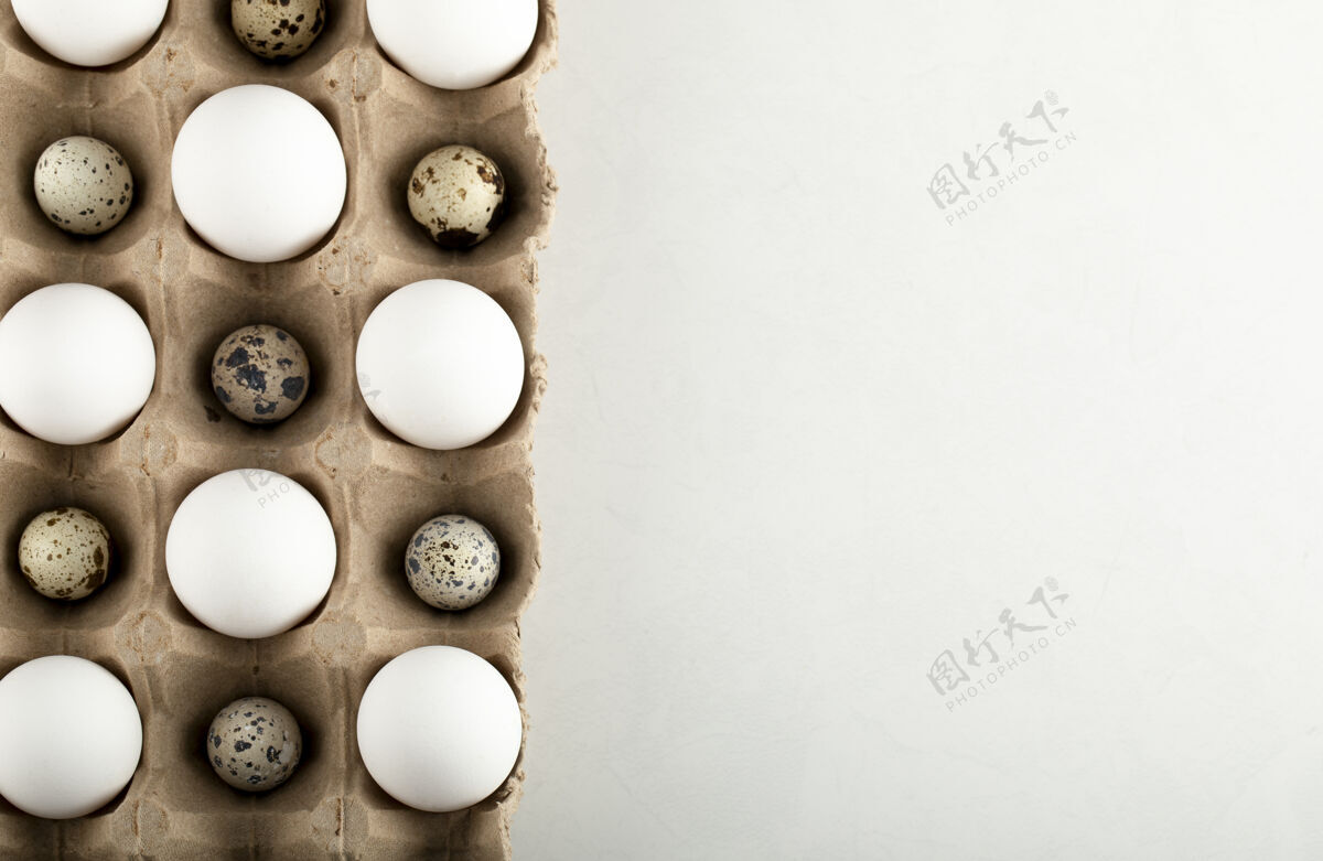 禽类生鸡肉和鹌鹑蛋装在纸箱里有机食品新鲜食品