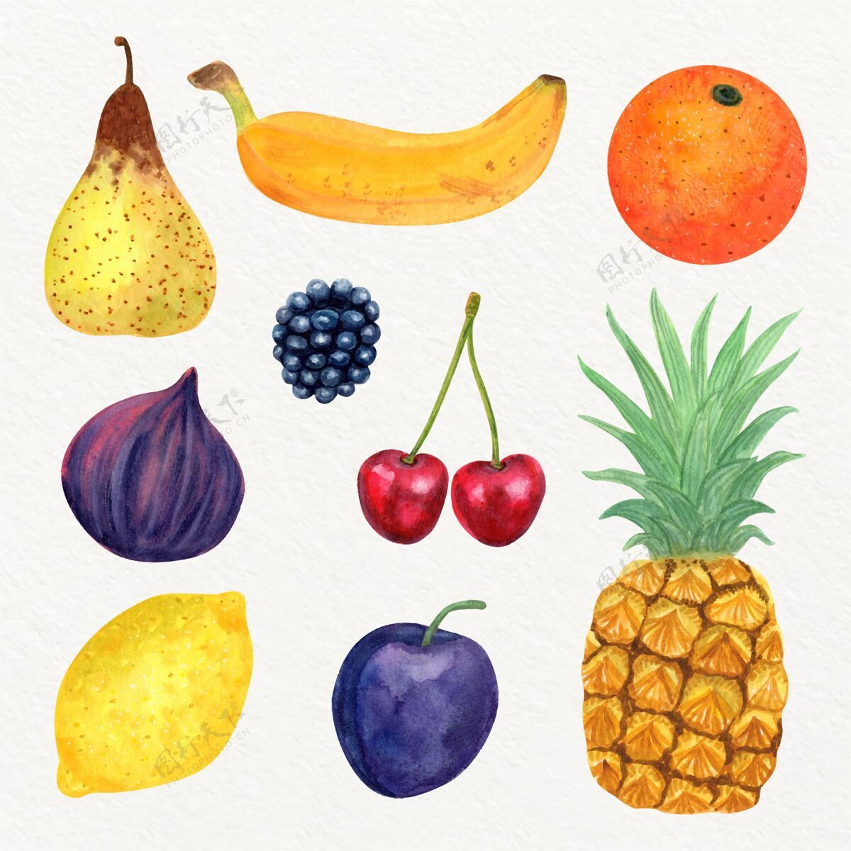 美味手绘水彩画水果系列健康包装美味