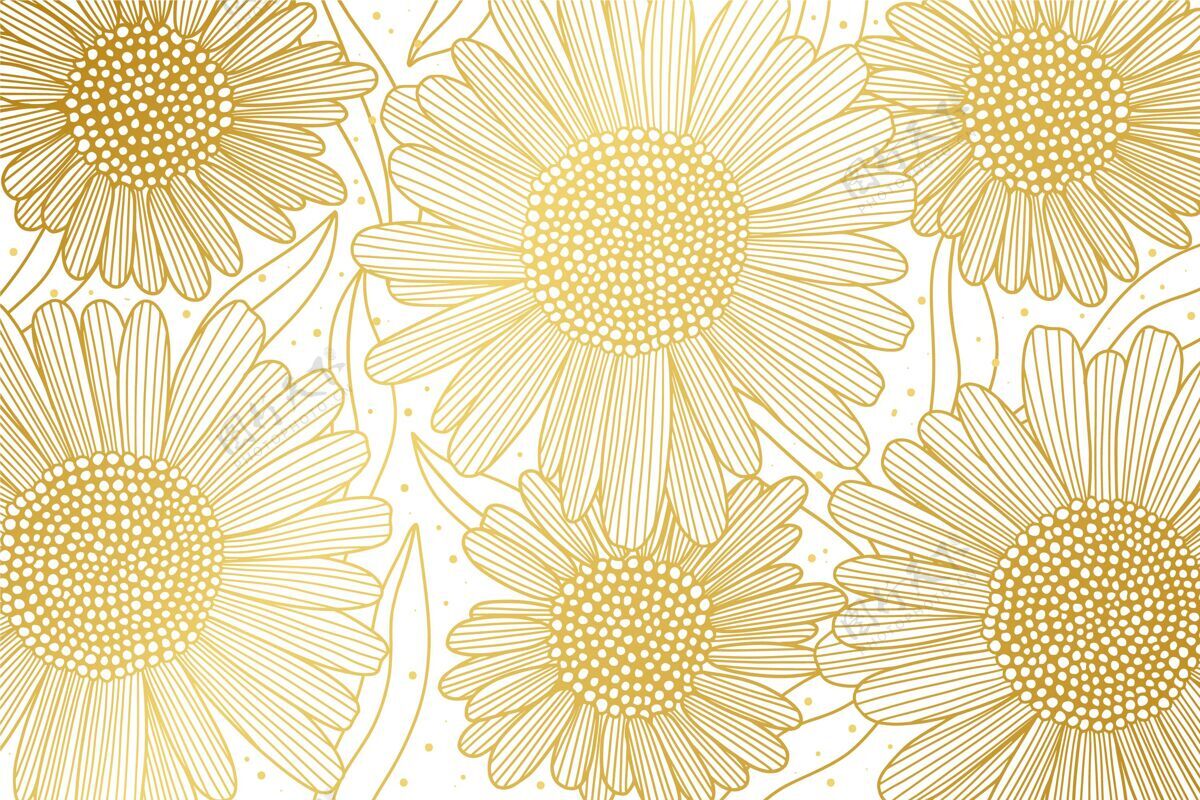 花卉背景渐变金色线性背景雏菊金色渐变金色细节