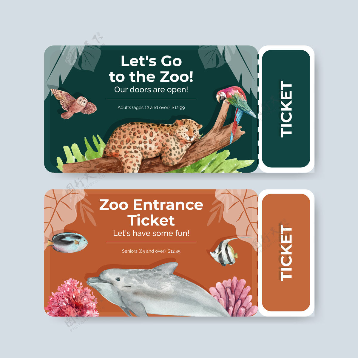 环境票模板与生物多样性作为自然野生动物物种或动物保护生态系统地球保护