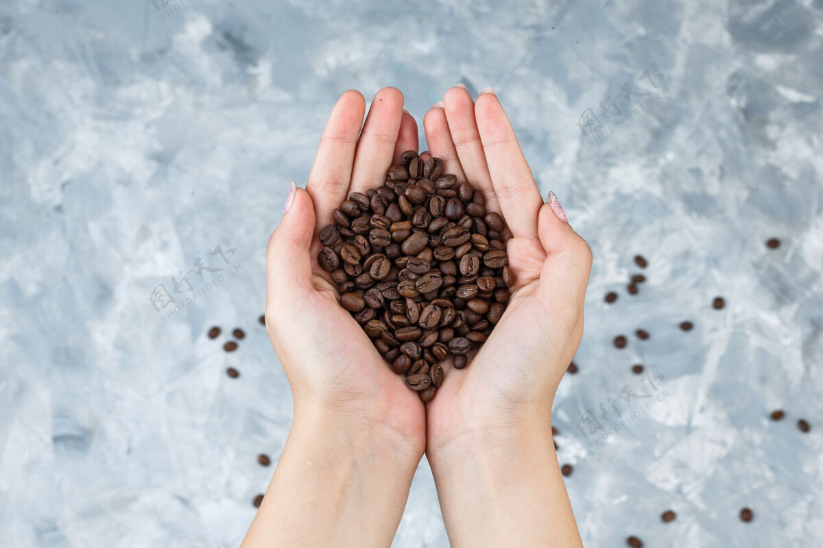 阿拉伯语女性手拿着咖啡豆平放在一个肮脏的灰色背景咖啡种子作物