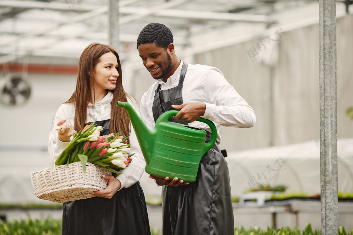 成长花束郁金香在一个男孩男孩和女孩在一个温室里g阿登斯在围裙年轻工作食物