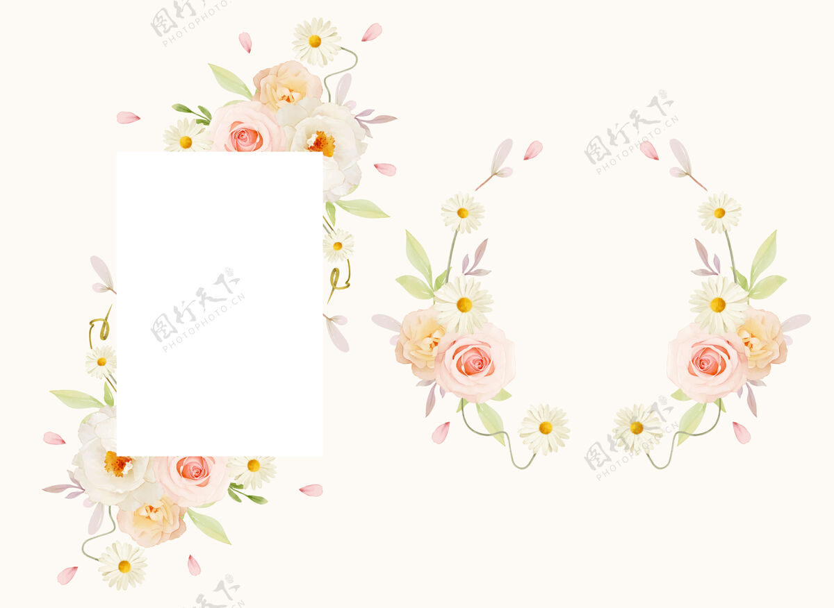 花卉美丽的花卉框架与水彩粉红玫瑰和白色牡丹花卉乡村植物