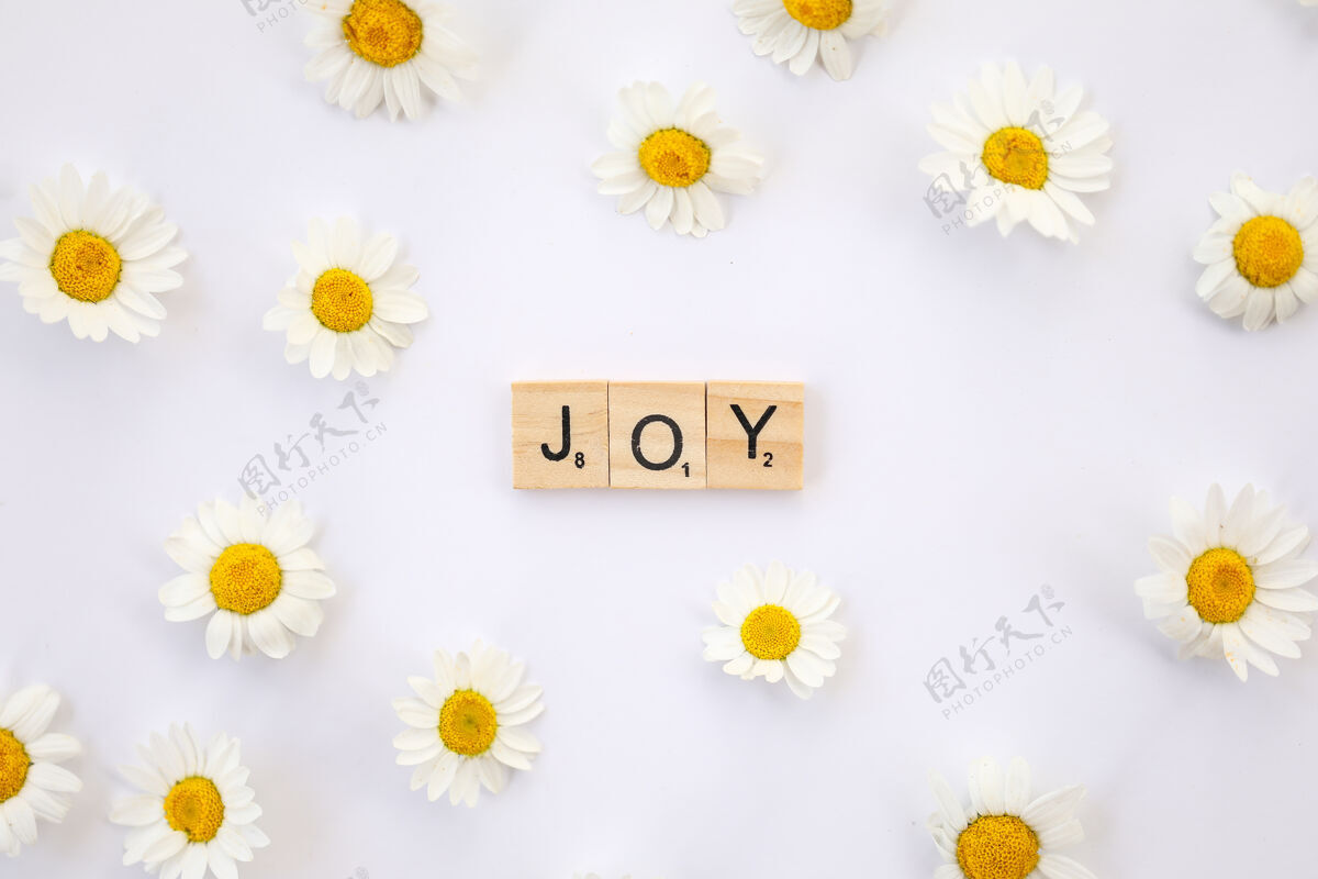 文字平面图像以白色表面上的木制字母中的文字joy为特色 周围环绕着雏菊欢呼快乐春天