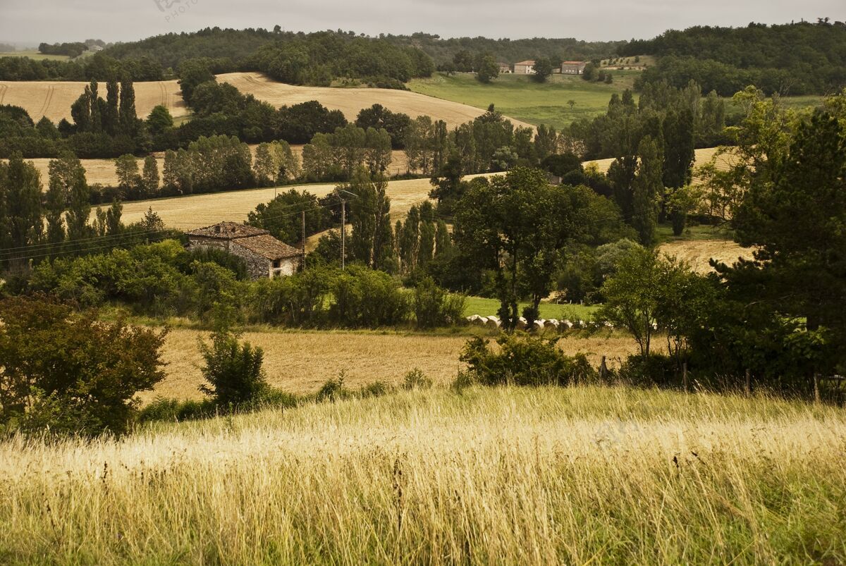草在法国的塔恩和加隆 一片绿树成荫的田野 背景是小山划船欧洲法国