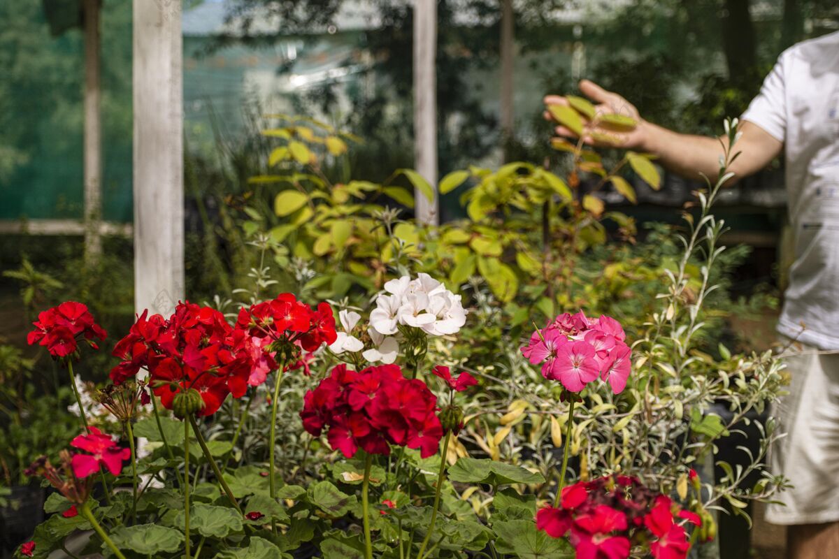 花儿把花园里的花关起来花儿家里的花园花园