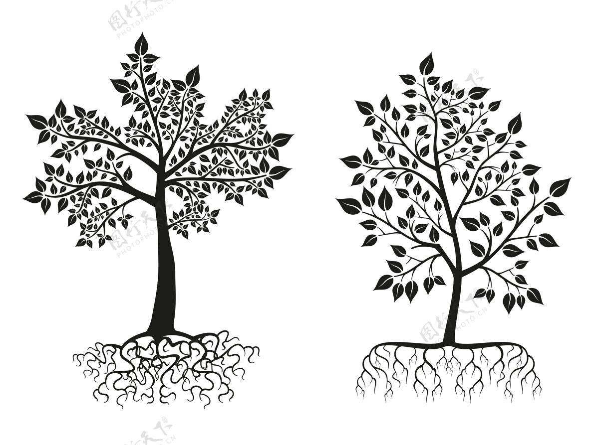 框架黑色的树和根的轮廓与树叶形状曲线自然