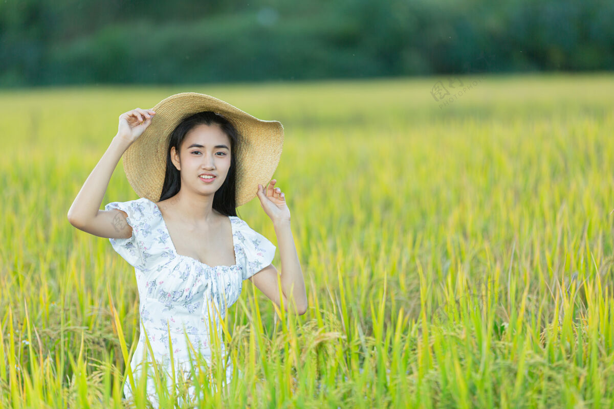 年轻女孩美丽的亚洲女人在稻田里尽情享受白色稻田手