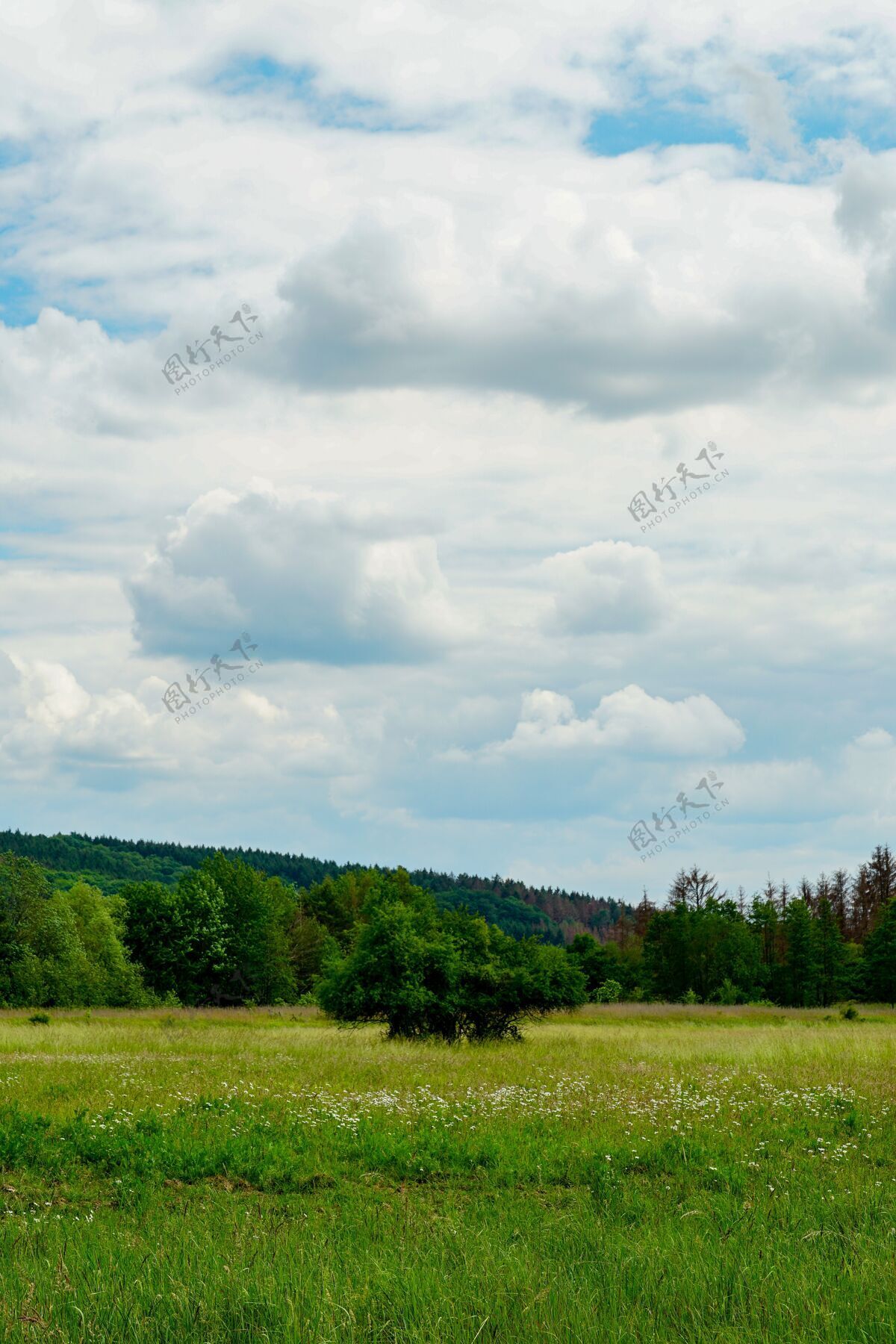 景色在多云的天空下 一个美丽的绿色山谷的垂直镜头风景叶光