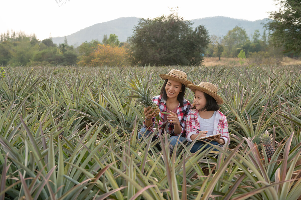 女孩亚洲农民有母女在农场看到菠萝的生长情况 并把数据保存在她的剪贴板上给农民核对清单 农业产业概念绿色工作营养