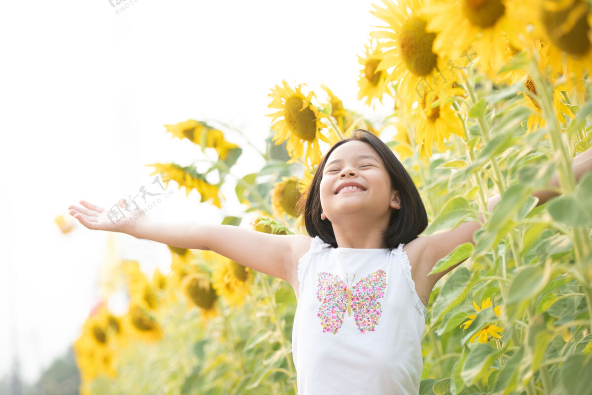 肖像快乐的亚洲小女孩在阳光下 在盛开的向日葵中嬉戏乐趣玩耍闻