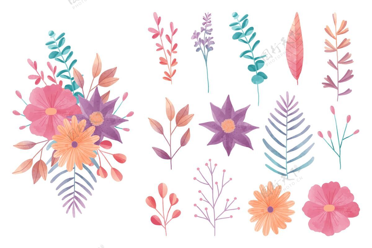 包装水彩缤纷花卉元素系列插图开花花卉