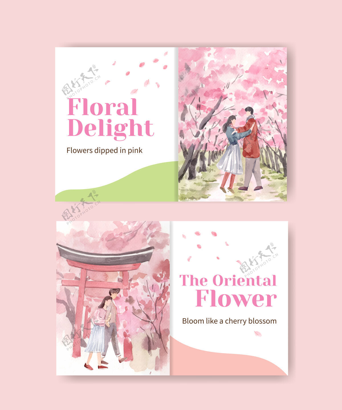 脸书Facebook模板与樱花概念设计社交媒体和社区水彩插图水彩花卉传统