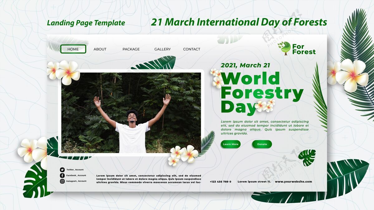 国际国际森林日登陆页登录页世界各地网页模板