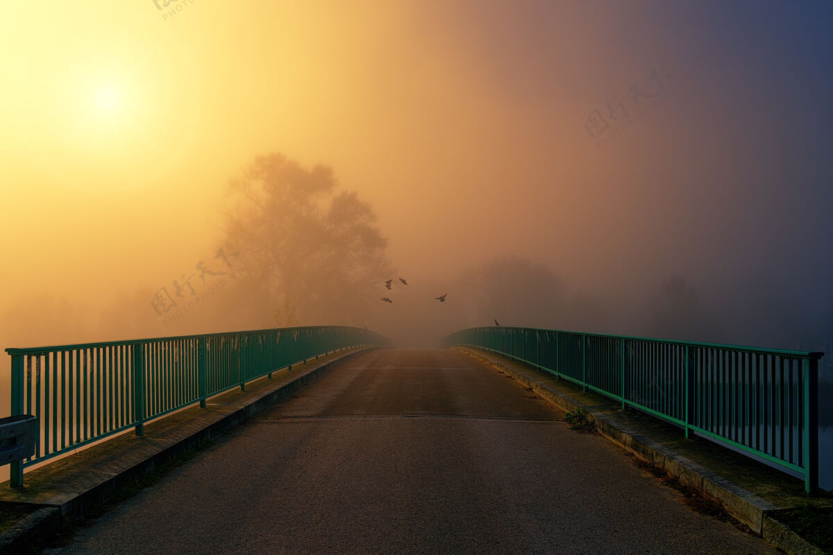 道路日落时的棕色和绿色的桥沥青桥梁户外