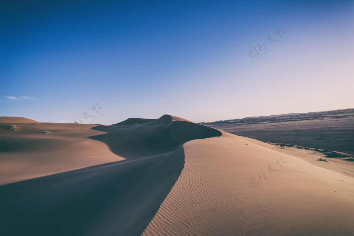 户外棕色的沙子沙丘沙漠自然