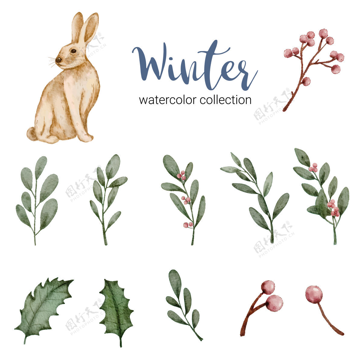 兔子冬季水彩画收藏与树叶 浆果和兔子 冬季水彩画无缝叶动物