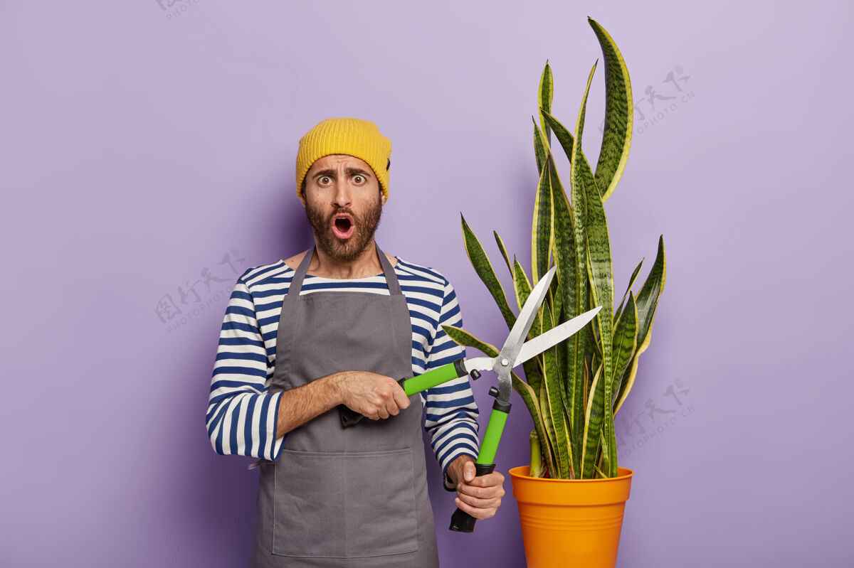 忙碌惊讶的园丁摆出一个大盆栽蛇植物男人震惊惊喜